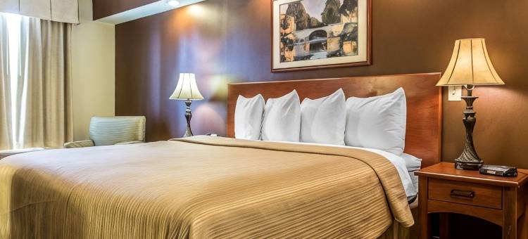 科尼尔斯I-20凯艺酒店(Quality Inn Conyers I-20)图片