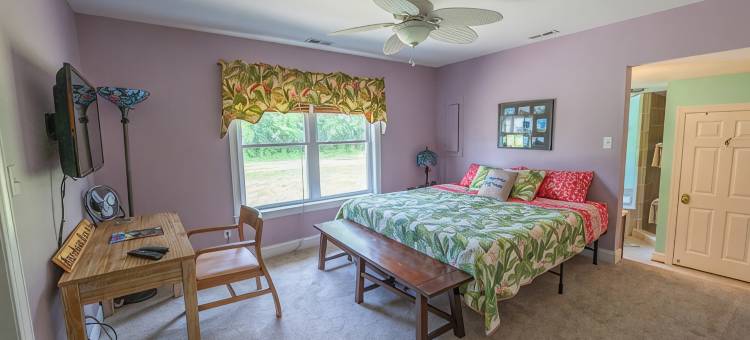 Waterview Home! Beach Volleyball! Near Wedding Venues! Walk to Bar & Restaurant!图片