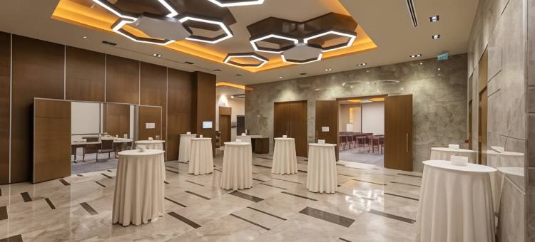 开塞利-杜文诺努假日酒店(Holiday Inn KAYSERI - DUVENONU by IHG)图片