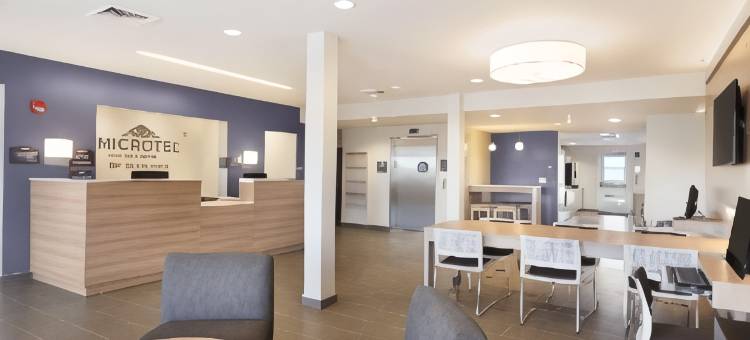 温德姆乔治敦特拉华海滩麦客达套房酒店(Microtel Inn & Suites by Wyndham Georgetown Delaware Beaches)图片