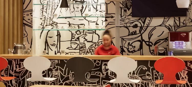 宜必思科尼亚酒店(Ibis Konya)图片