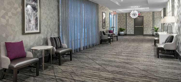 华盛顿哥伦比亚特区拉尔戈Homewood Suites by Hilton(Homewood Suites by Hilton Largo Washington D.C.)图片