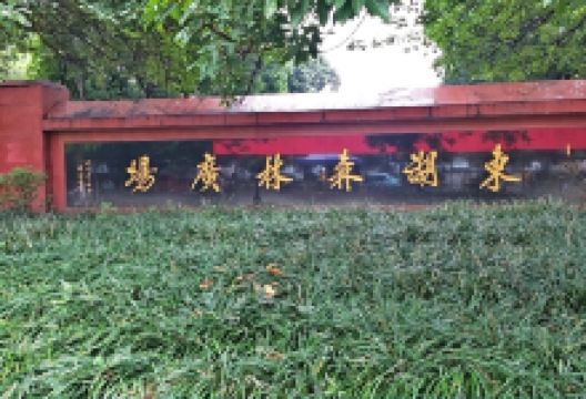 东湖森林广场景点图片