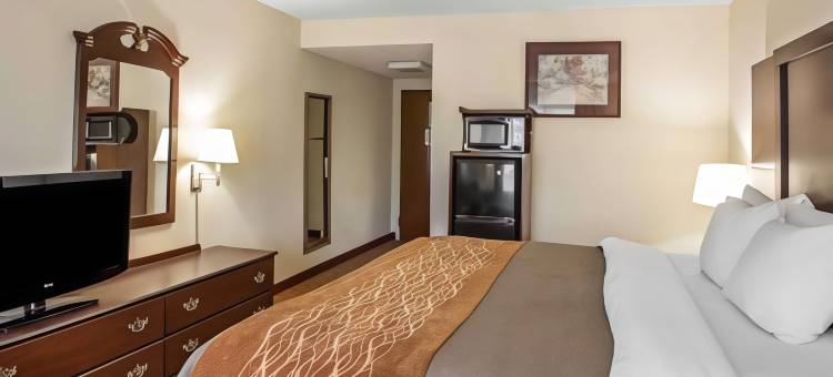 舒适酒店及套房斯帕坦堡北(Comfort Inn & Suites at I-85)图片