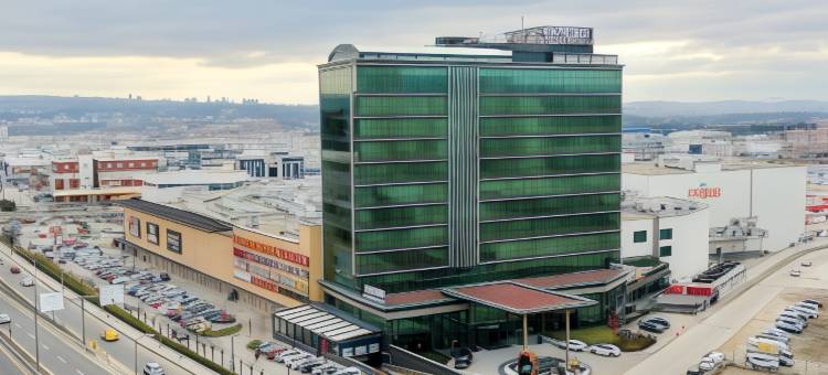 安卡拉Alegria商务酒店(Ankara Alegria Business Hotel)图片