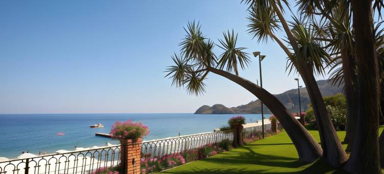 卡帕雷纳酒店(Hotel Caparena)图片