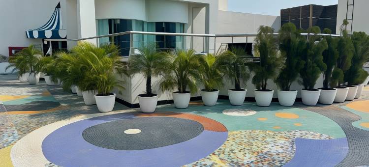 海洋广场酒店(Hotel Marine Plaza)图片