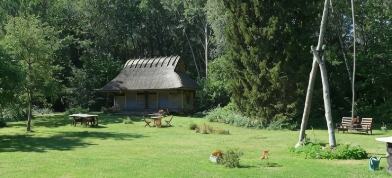 科特卡农场旅馆(Kotka Farm)图片