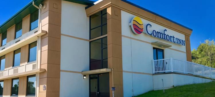 舒适酒店(Comfort Inn)图片