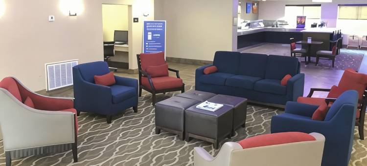 靠近六旗及医疗中心舒适酒店及套房(Comfort Inn & Suites Near Six Flags & Medical Center)图片