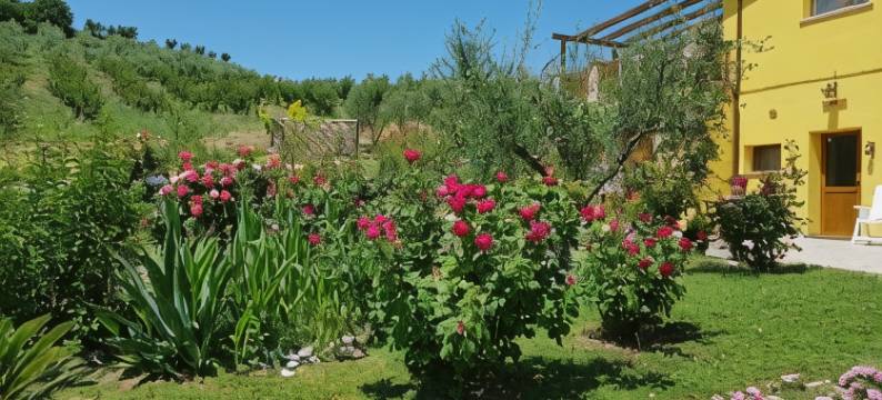 Agriturismo la Stradaccia图片