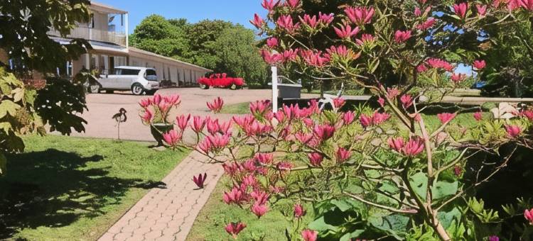 费尔岛汽车旅馆(Fair Isle Motel)图片