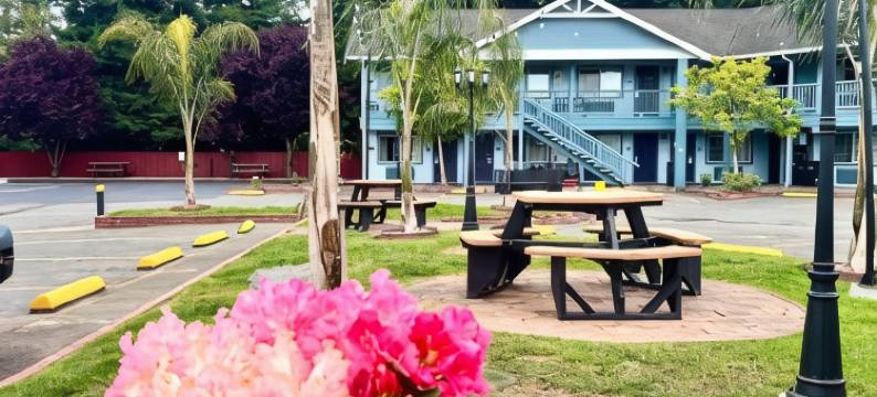 乡村贝斯特韦斯特酒店(Best Western Country Inn)图片