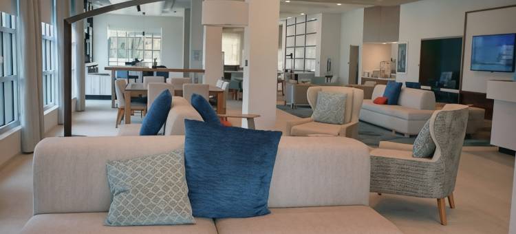 佛罗里达坦帕 - 韦斯利查普尔希尔顿花园酒店(Hilton Garden Inn Tampa - Wesley Chapel)图片