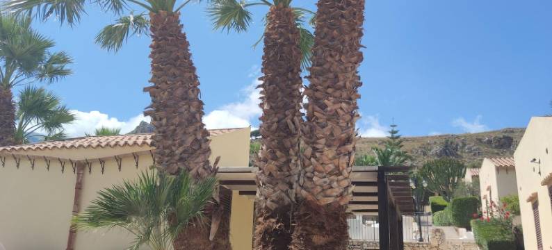 格鲁特泰斯莉酒店(Hotel Grotticelli)图片