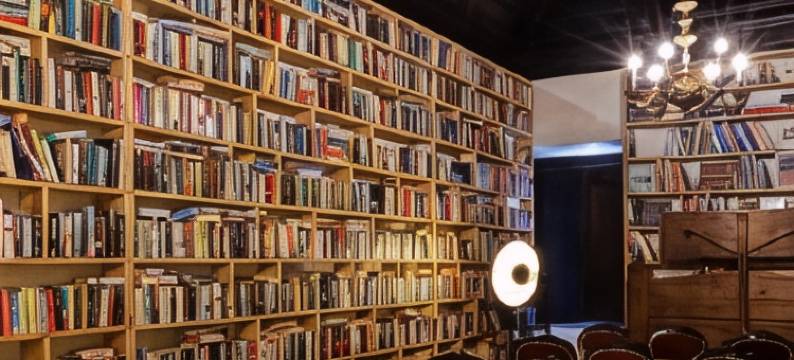 文人奥比多斯旅馆(The Literary Man Obidos Hotel)图片