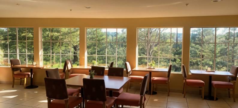 温德姆商标精选罗克林公园酒店(Rocklin Park Hotel, Trademark Collection by Wyndham)图片