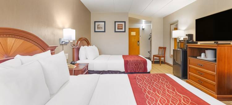 大学中心舒适酒店(Comfort Inn University Center)图片