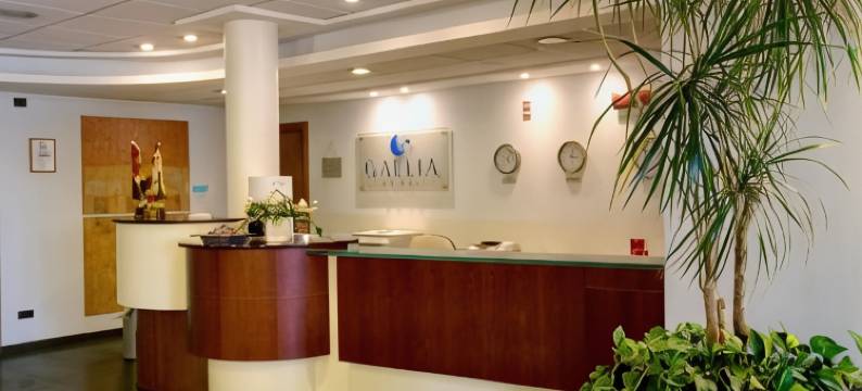 山南酒店(Hotel Gallia)图片