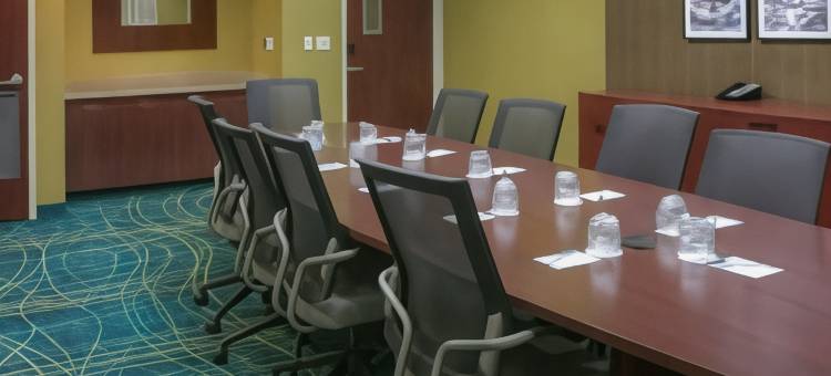 坦帕布兰登万豪SpringHill酒店(SpringHill Suites Tampa Brandon)图片