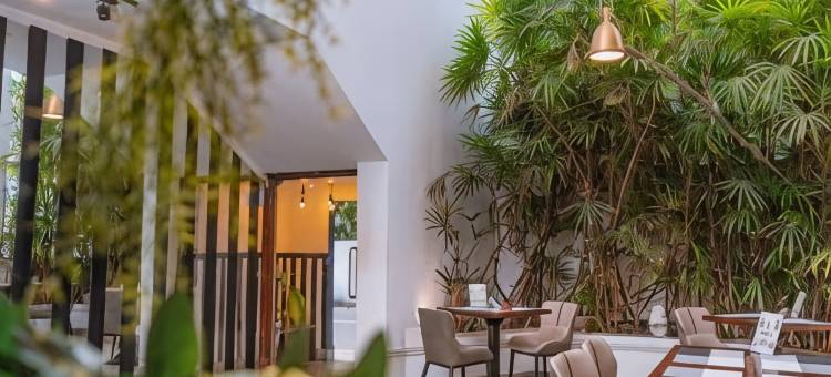 费恩科伦坡住宿加早餐旅馆(Fern Colombo)图片