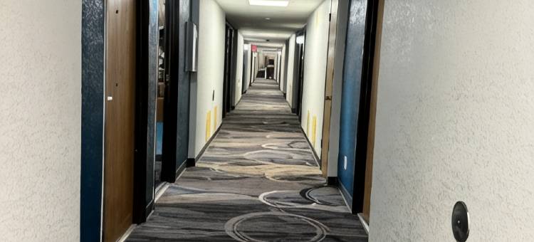 威斯康星州欧克莱尔汽车旅馆(Motel 6 Eau Claire, WI)图片