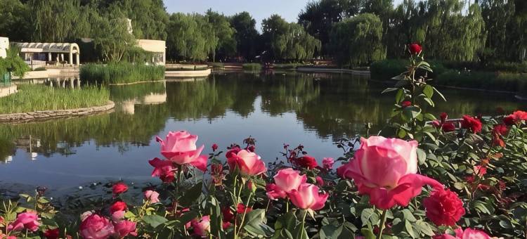 东阳创盛公寓图片