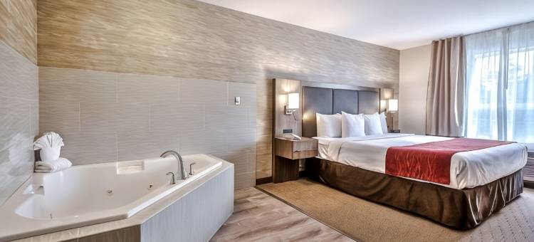 南部舒适酒店(Comfort Inn & Suites South)图片