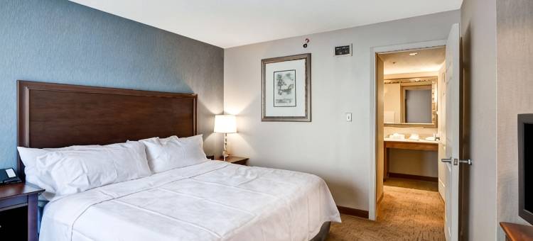 温莎洛克斯哈特福德Homewood Suites by Hilton(Homewood Suites by Hilton Windsor Locks Hartford)图片