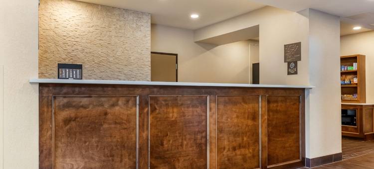 圣安东尼奥机场北部舒适套房(Comfort Suites San Antonio Airport North)图片