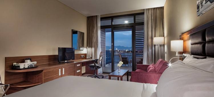 伊兹密尔贝拉克里希尔顿花园酒店(Hilton Garden Inn Izmir Bayrakli)图片