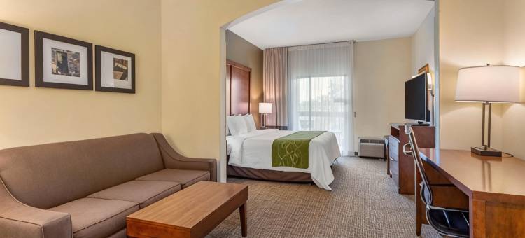 利斯堡历史区智选假日酒店(Holiday Inn Express & Suites LEESBURG - HISTORIC DISTRICT by IHG)图片