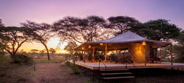 猢狲树帐篷露营酒店(Baobab Tented Camp)图片
