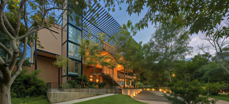 阿莫丽塔度假酒店(Amorita Resort Bohol)图片