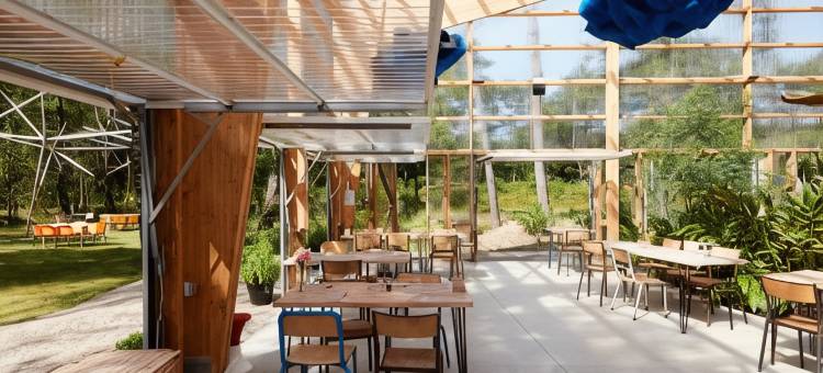 美丽的疯狂(La Belle Folie)图片