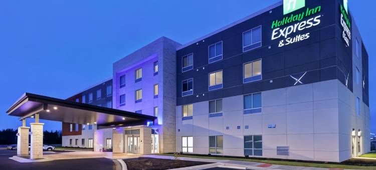 洲际智选假日酒店及套房渥太华(Holiday Inn Express & Suites Ottawa)图片