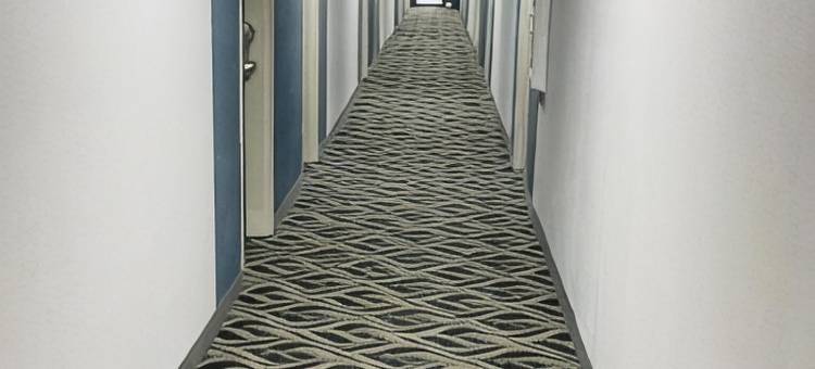 芝加哥-卡柳梅特温德姆呗盟套房酒店(Baymont by Wyndham Chicago/Calumet City)图片