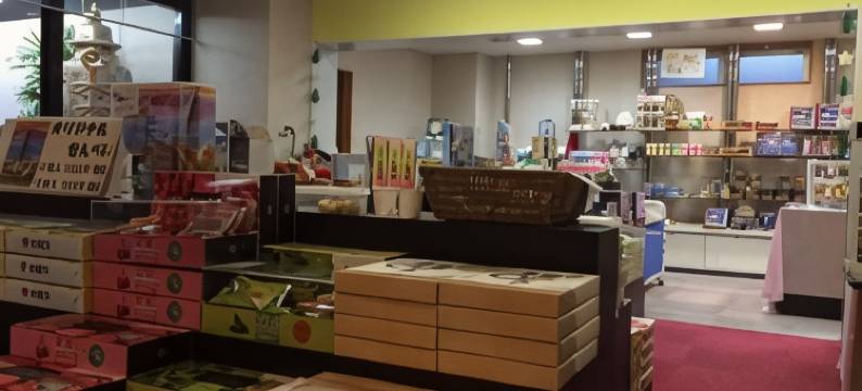 斯鲁卡泰托拉度假酒店(Hotel Tetora Resort Tsuruoka)图片