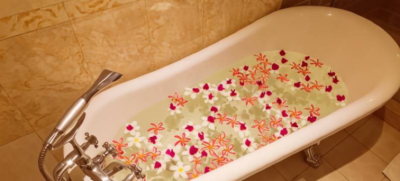 贝壳千禧酒店(Seashells Millennium Hotel)图片