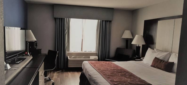 温德姆花园酒店-杰克逊维尔(Wyndham Garden Jacksonville)图片