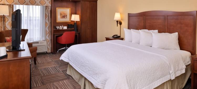 希尔顿欢朋酒店-埃尔克哈特(Hampton Inn Elkhart)图片