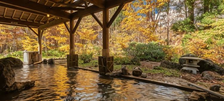 龟乃井酒店-田泽湖(KAMENOI HOTEL TAZAWAKO)图片