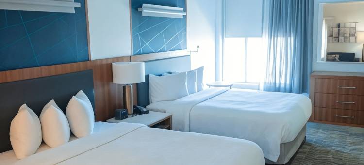 达拉斯路易斯维尔万豪SpringHill Suites 酒店(SpringHill Suites Dallas Lewisville)图片