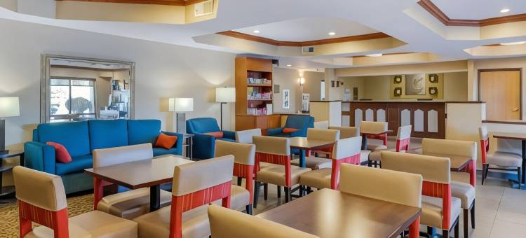 南港舒适套房酒店-I-96附近(Comfort Suites South Haven Near I-96)图片