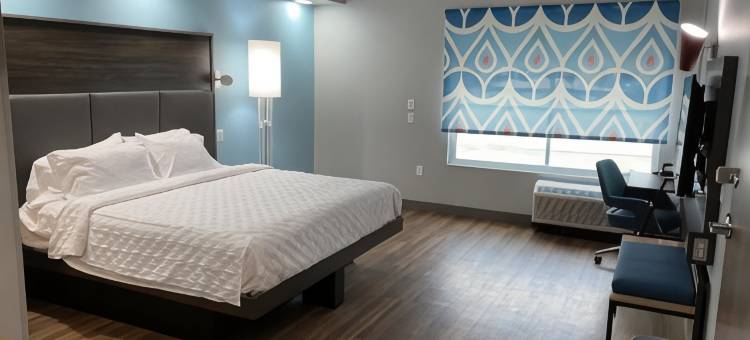 西休斯顿卡提希尔顿特鲁酒店(Tru by Hilton Katy Houston West)图片