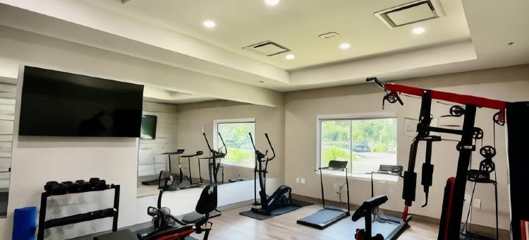 温德姆花园坦帕展览馆/娱乐场(Wyndham Garden Tampa Fairgrounds/Casino)图片