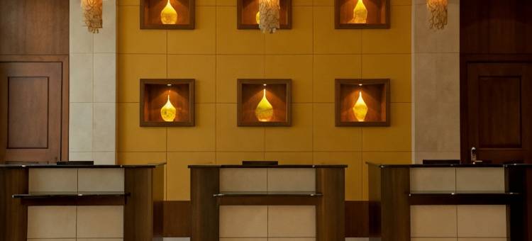 温德姆 亚特兰大 巴克海德酒店及会议中心(Wyndham Atlanta Buckhead Hotel & Conference Center)图片