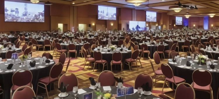 奥马哈拉维斯塔安泊套房酒店及会议中心(Embassy Suites by Hilton Omaha la Vista Hotel & Conference Center)图片