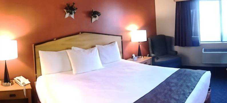 奥斯维戈美吟温德姆酒店(AmericInn by Wyndham Oswego)图片