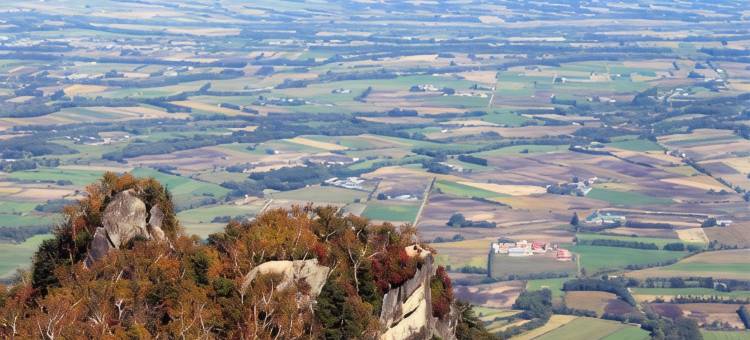 露樱酒店带广站前店(Hotel Route-Inn Obihiro Ekimae)图片